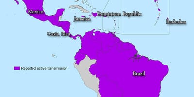 Harta jamaica zika
